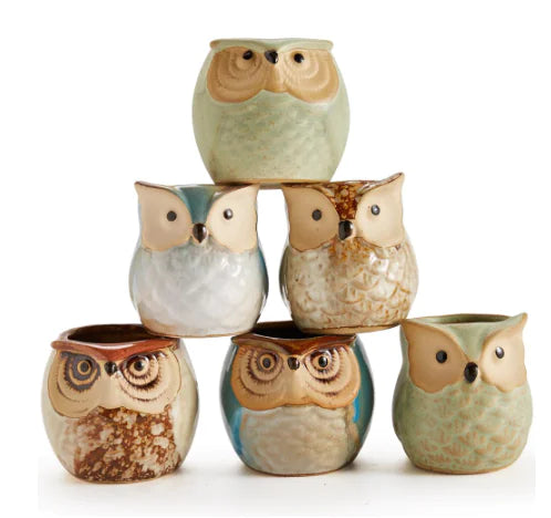 Owl Pot Ceramic Base