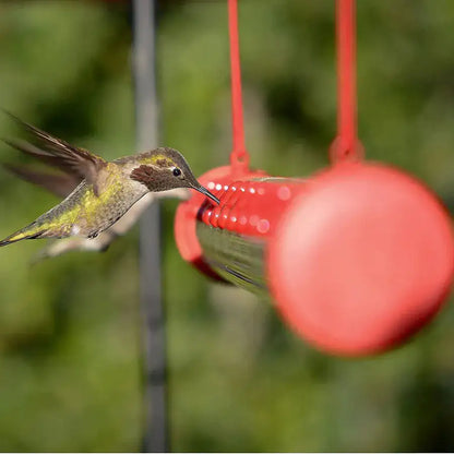 HummingHub-Hummingbird Feeder