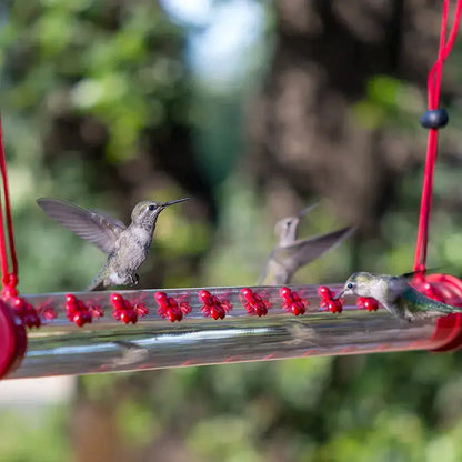 HummingHub-Hummingbird Feeder