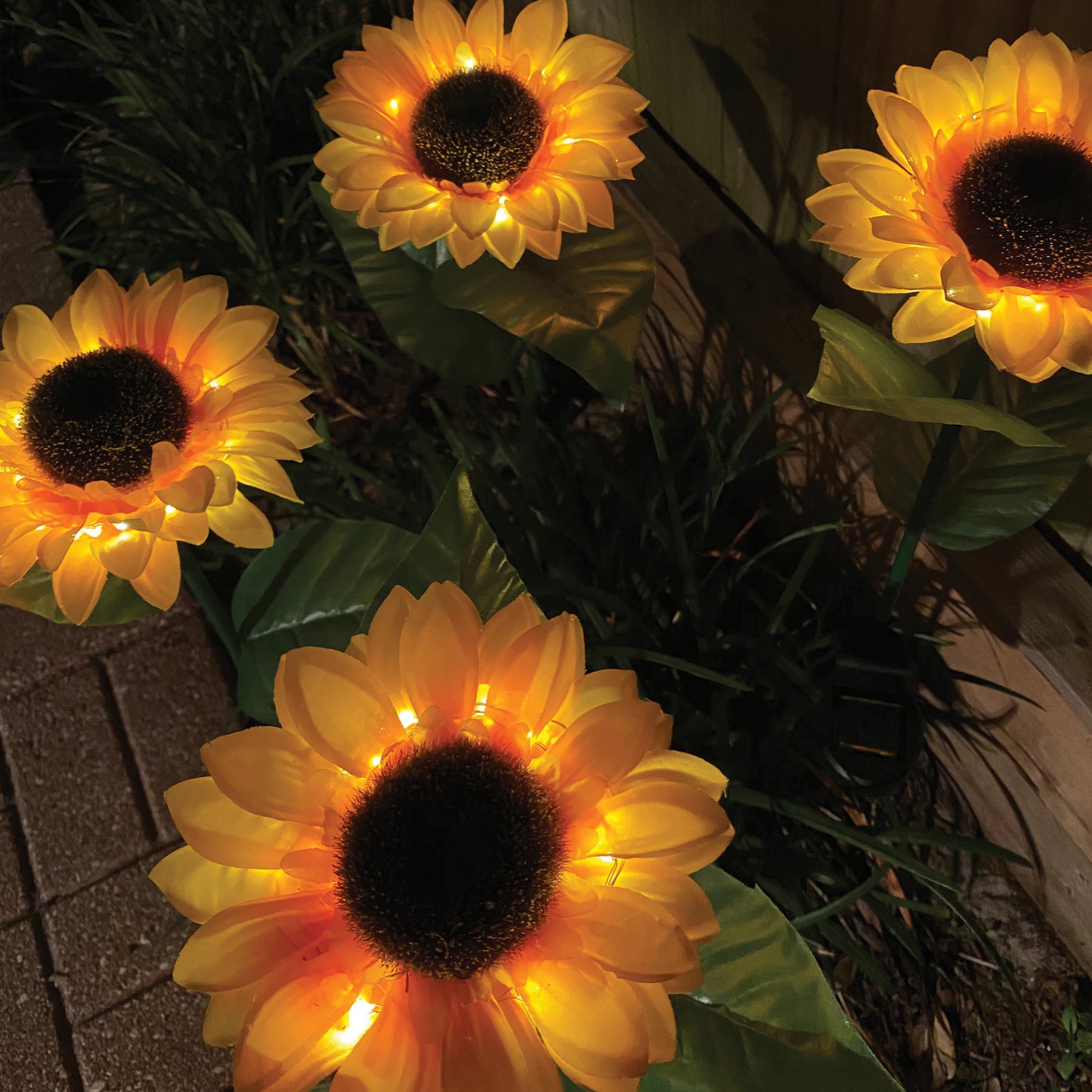 Illuminating Solar Sunflowers™ - [6-PACK]